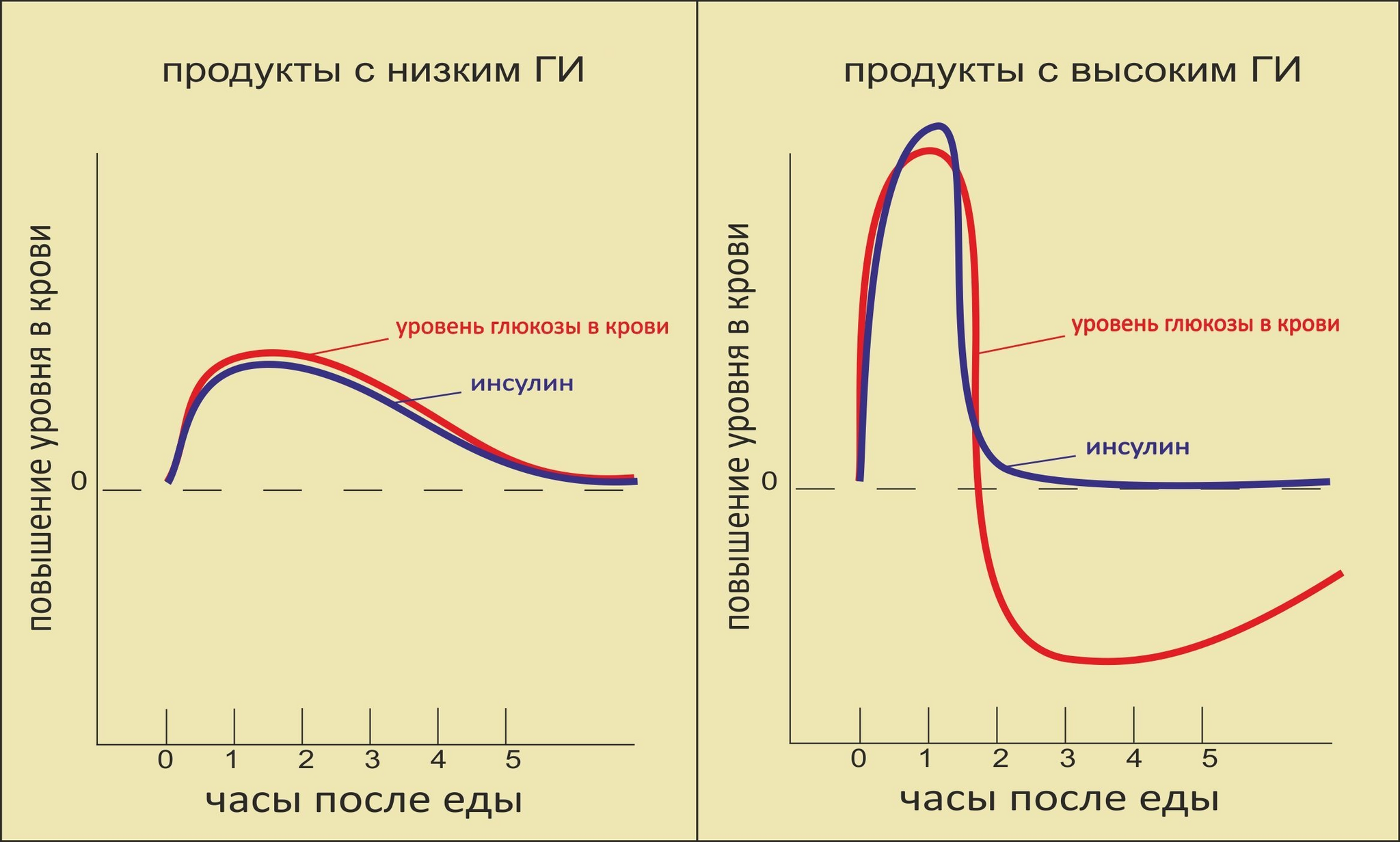 Ч.2 Ровный график инсулина | Пикабу