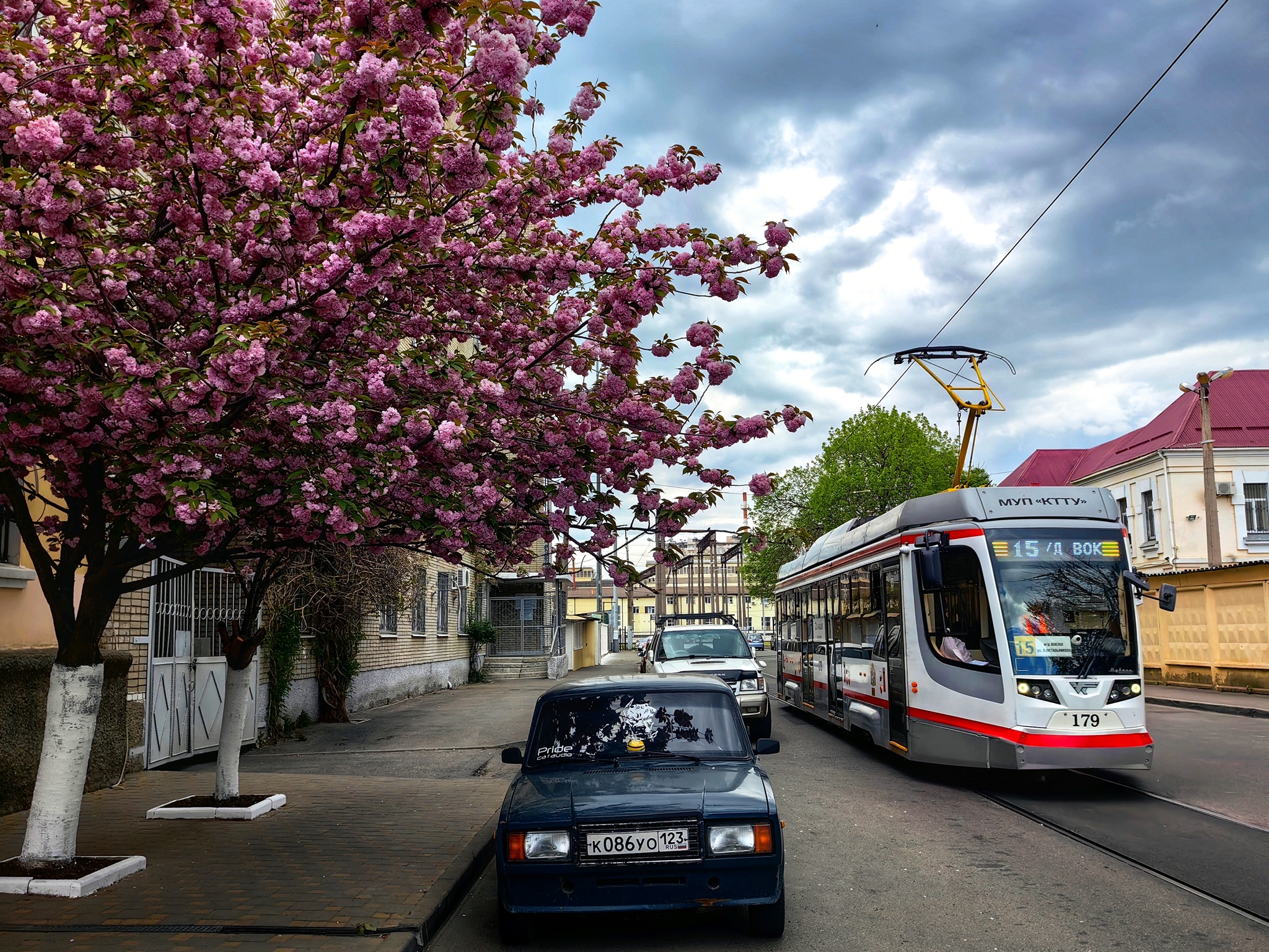 Сакура цветет в центре города | Пикабу