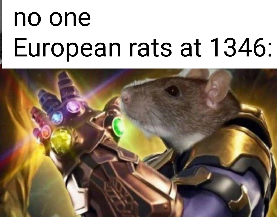 European rats | Пикабу