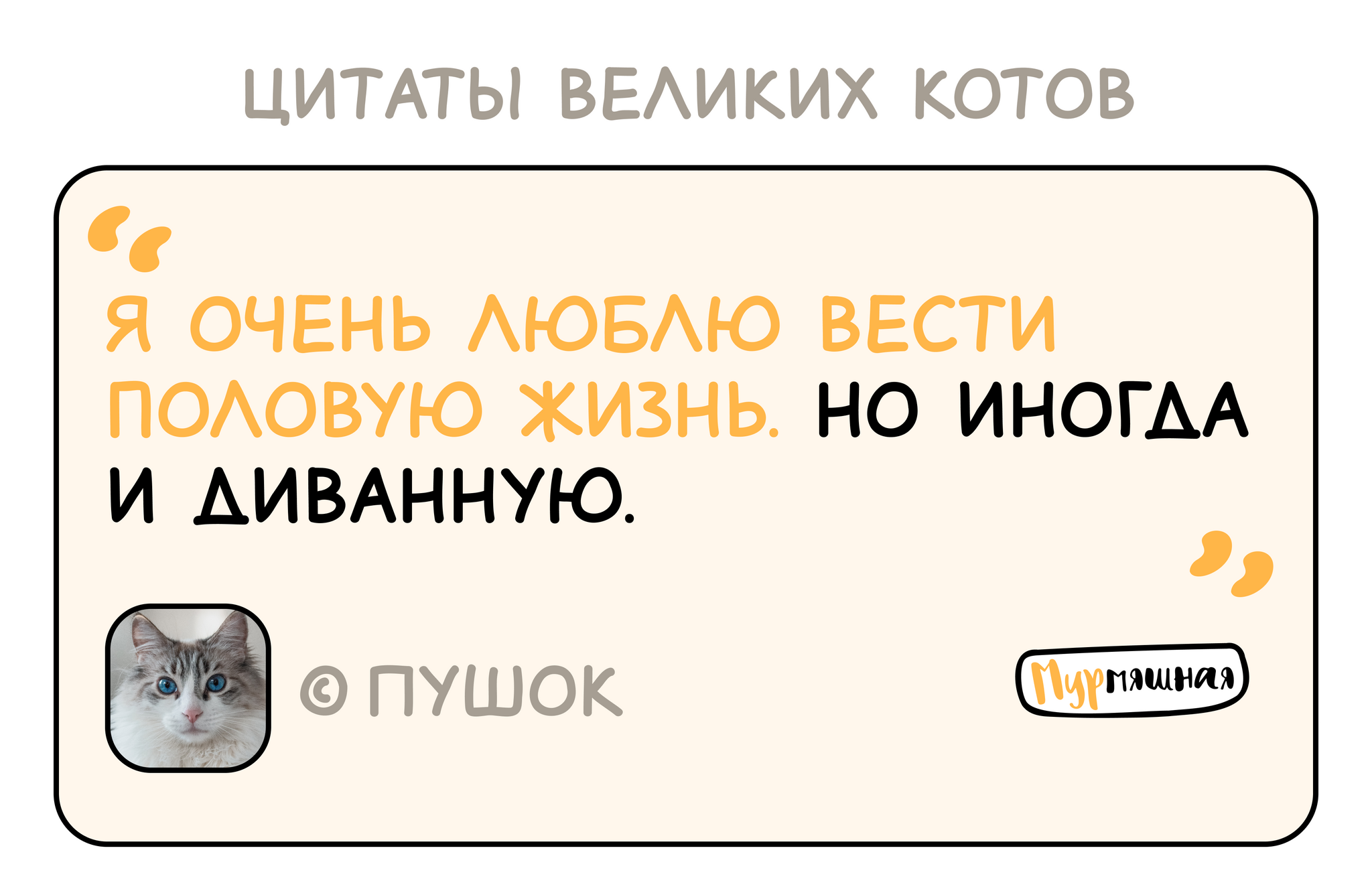 Давно не было цитат. Исправляю | Пикабу