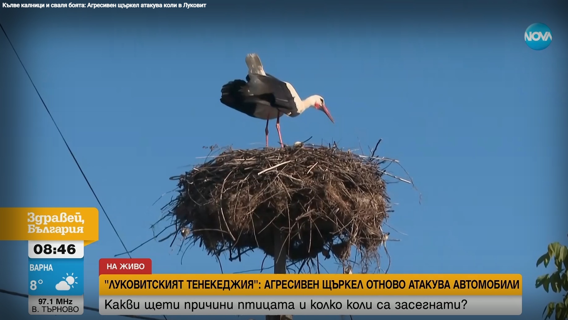 Луковитский «жестянщик» вернулся – прячьте автомобили | Пикабу