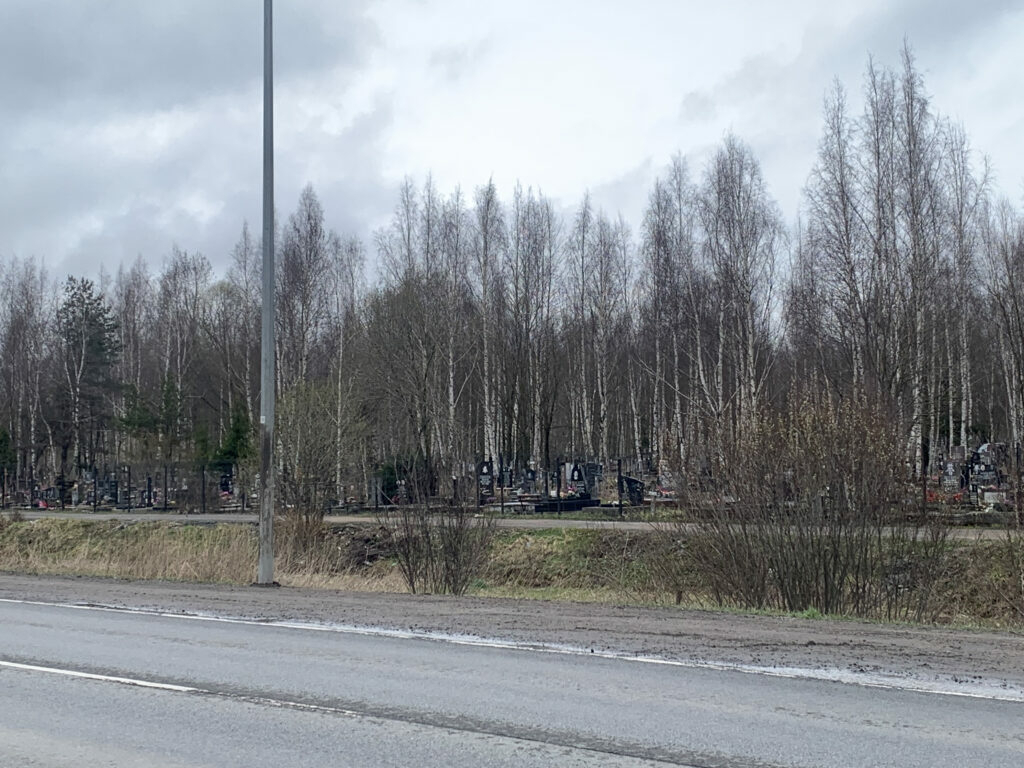 Петербуржцев готовят к жизни между свалкой и кладбищем | Пикабу