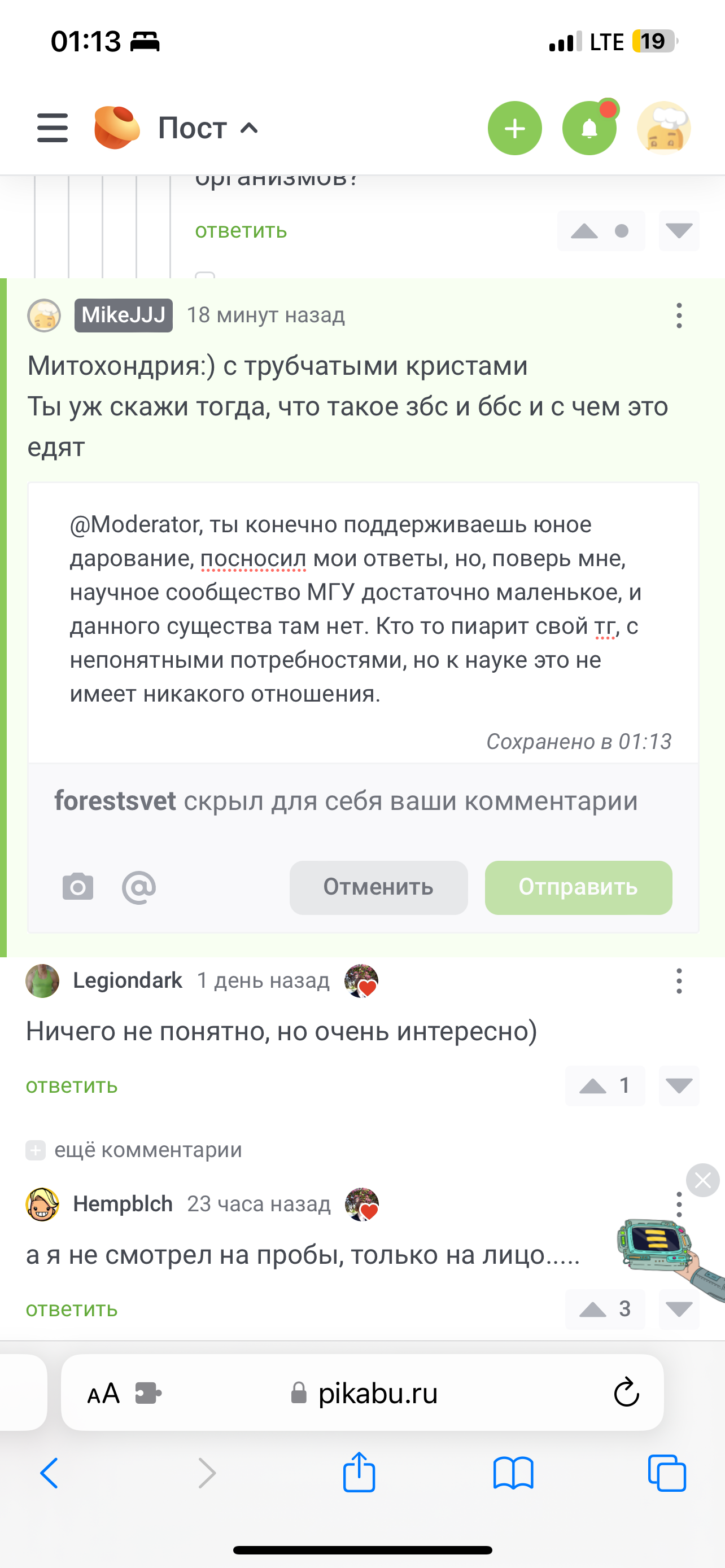 Врушка forestsvet | Пикабу