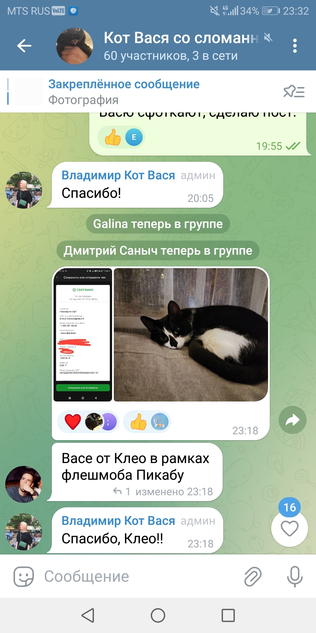 Продолжение поста «Флэшмоб для помощи котику Васе из Владимира. Котику  сделана операция на челюсть» | Пикабу