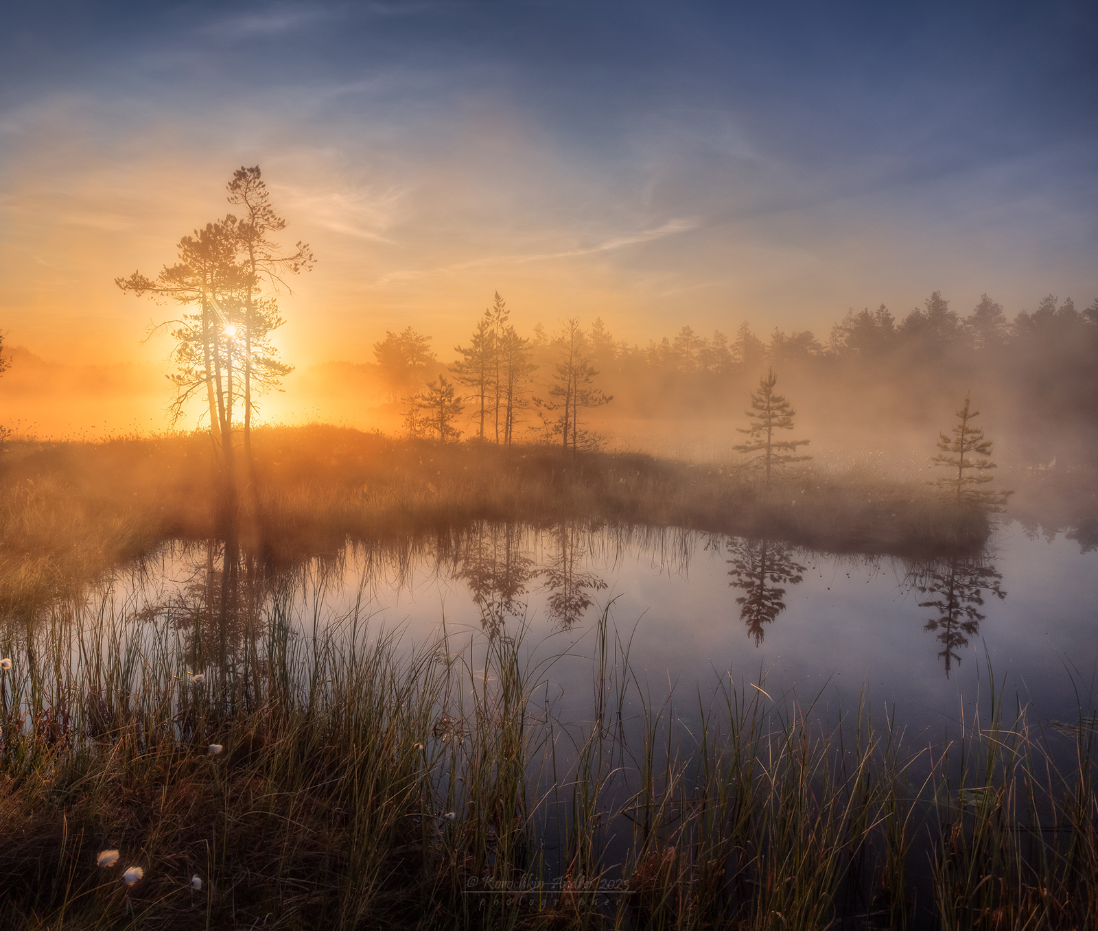 Солнечно, туманно... | Пикабу