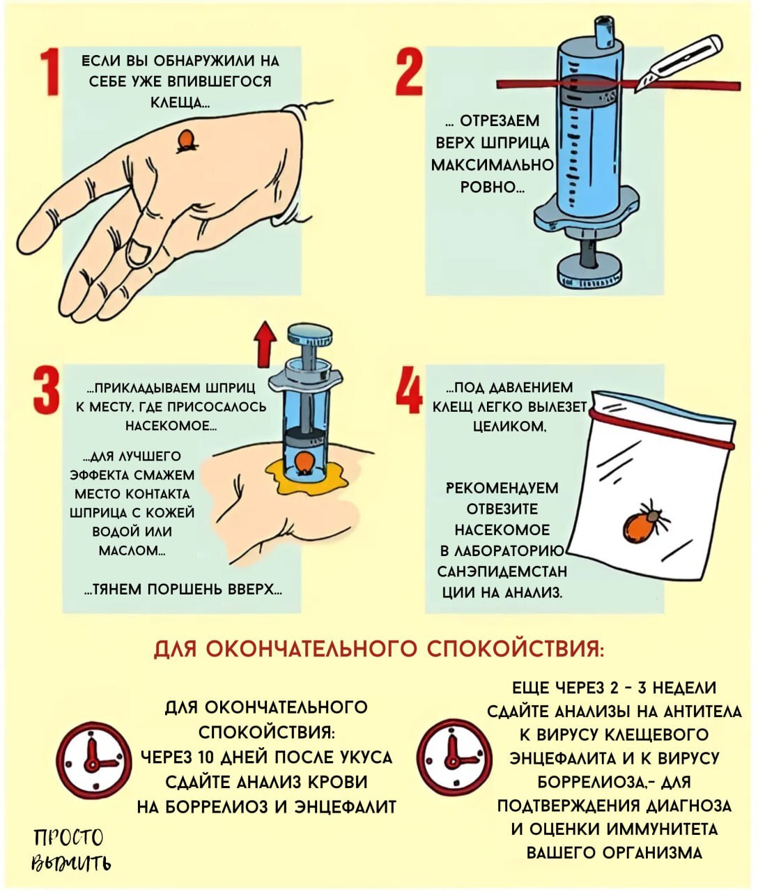 Что делать если обнаружили на себе клеща | Пикабу