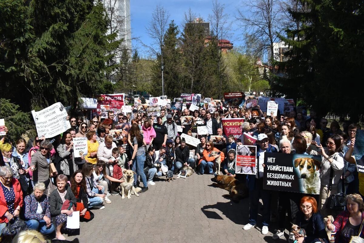 В Новосибирске состоялся митинг против умерщвления бездомных собак и за  выпуск отловленных 