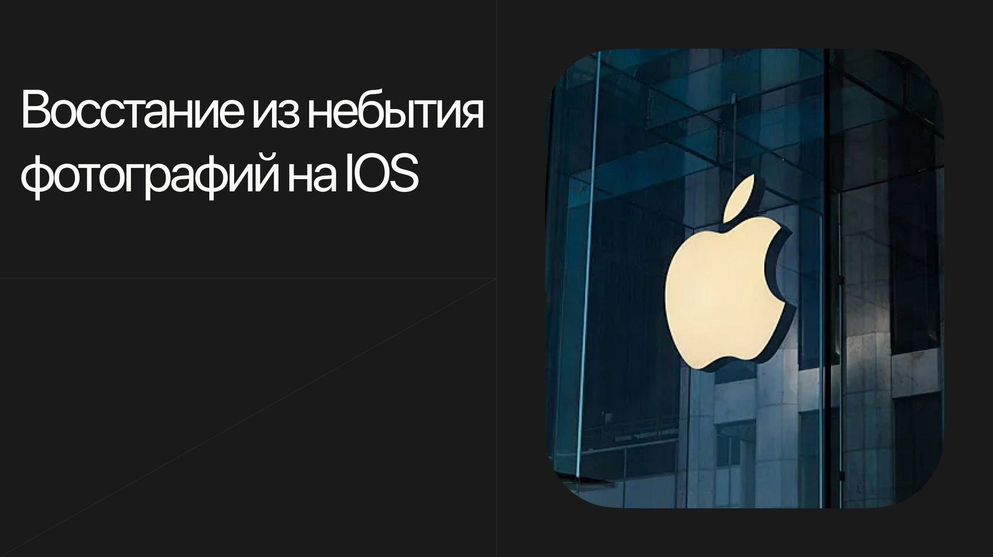 Восстание из небытия фотографий на IOS | Пикабу