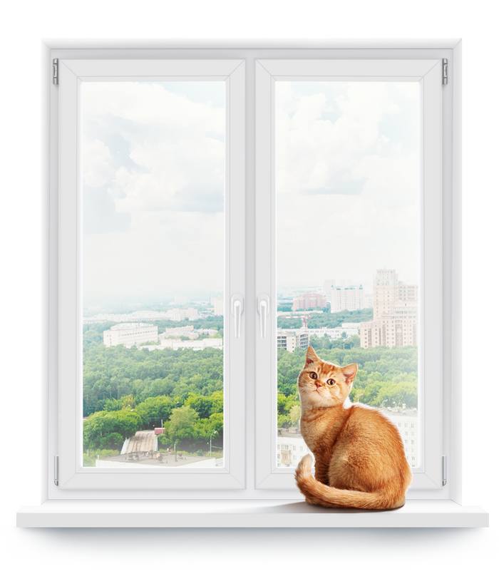 Пластиковое окно. Кот на пластиковом окне. Пластиковые окна клипарт. Окна ПВХ. Пластиковые окна кошки