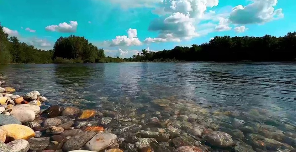 Звук реки. Релакс у реки. Вода река релакс. Звук речки. Расслабляющий шум речки.