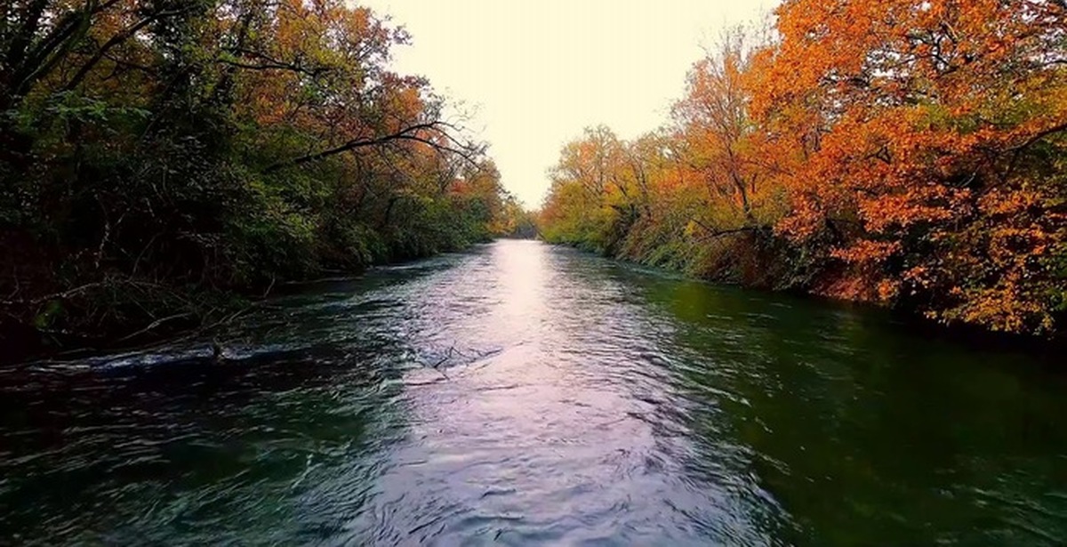 Река шум воды. Журчание реки. Шум речки. Звучание речки. Река шумней.