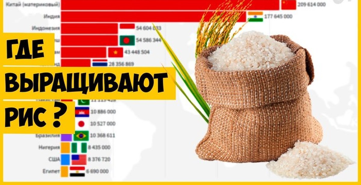 Страны лидеры по выращиванию риса
