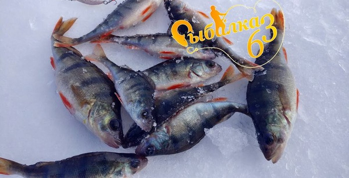 зимняя рыбалка на озере лохтиярви. зимние блёсна на окуня в глухозимье. техника блеснения окуня зимой. зимний окунь на балансир в глухозимье. окунь на блесну в глухозимье.