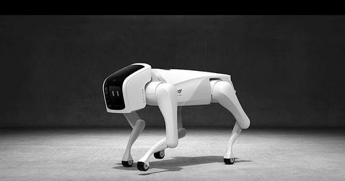 Робот sony aibo. Aibo ers 210. Робот в виде собаки. Робот питомец с человеком. Sony aibo.