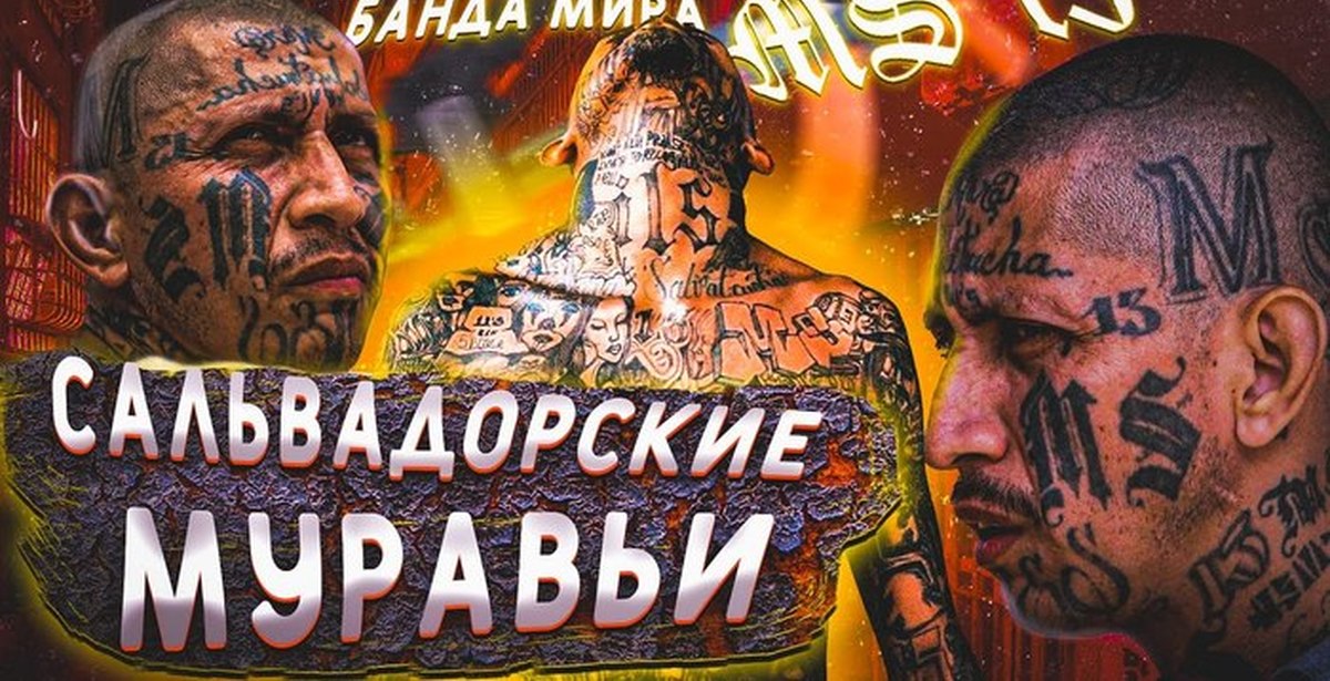 Самые опасные группировки. MS 13 самая жестокая банда в мире. Мара Сальватруча главарь.