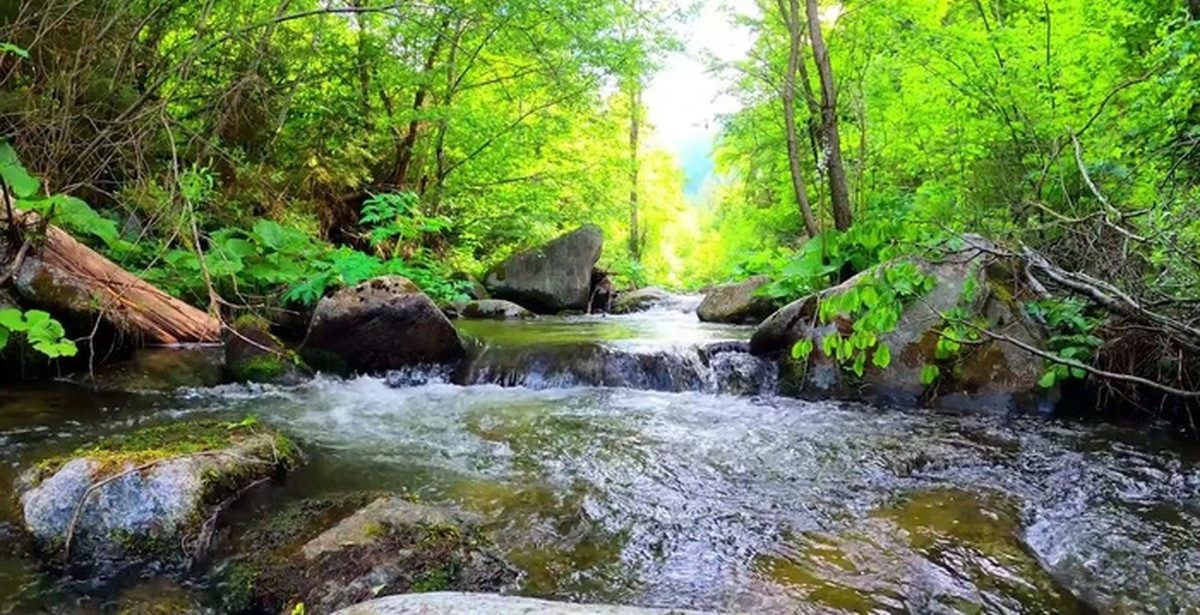 Звуки природы днем. Горный ручей звуки природы. Журчание ручья. Шум воды и ручья.