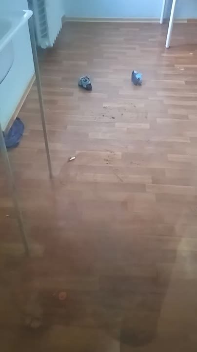 ������������