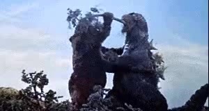 1634302999239280472 rule34 ellie 14 years что это такое