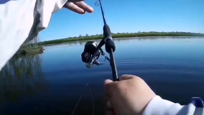 ������������