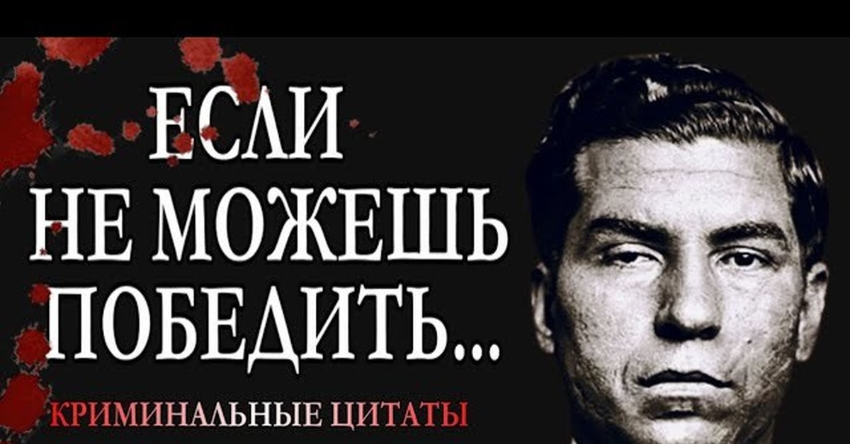 Фразы мафии. Преступники америки 20 века. Цитаты мафии. Криминал цитаты. Крылатые фразы мафии.