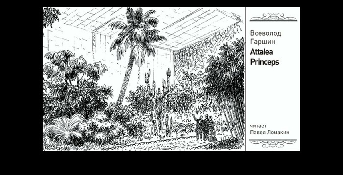 Гаршин attalea princeps читать. Гаршин атталея принцесс. Гаршин Аталия принцепс. Иллюстрация к сказке Гаршина Attalea princeps.