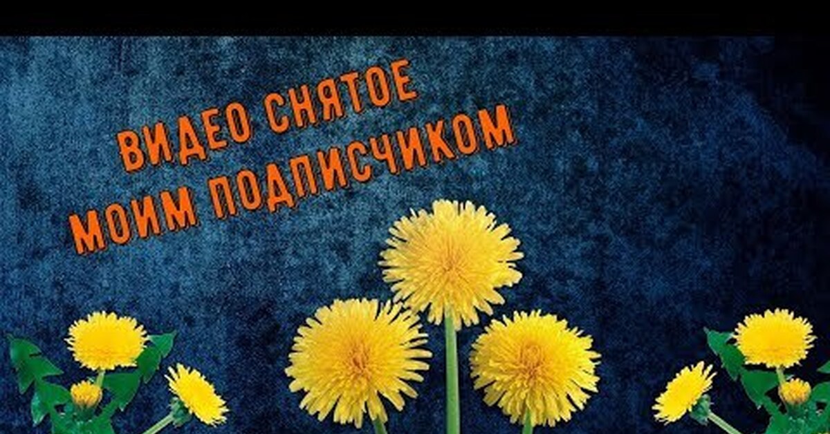 Одуванчик Заставка На Рабочий Стол