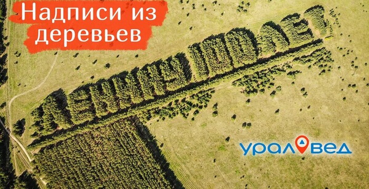 ). Ленину 100 лет из деревьев. Лес ленину 100 лет курганская область. Ленину 100 лет из деревьев. Ленину 100 лет из деревьев курганская область.