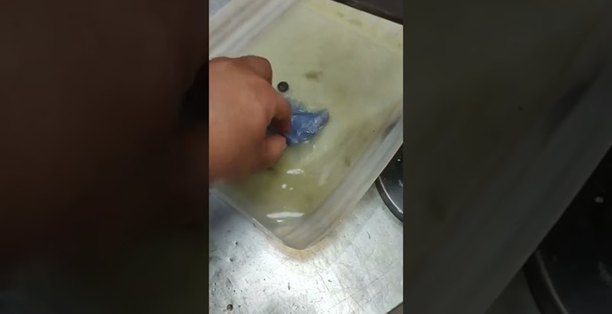 Что будет если заправить дизельный двигатель бензином? | Пикабу