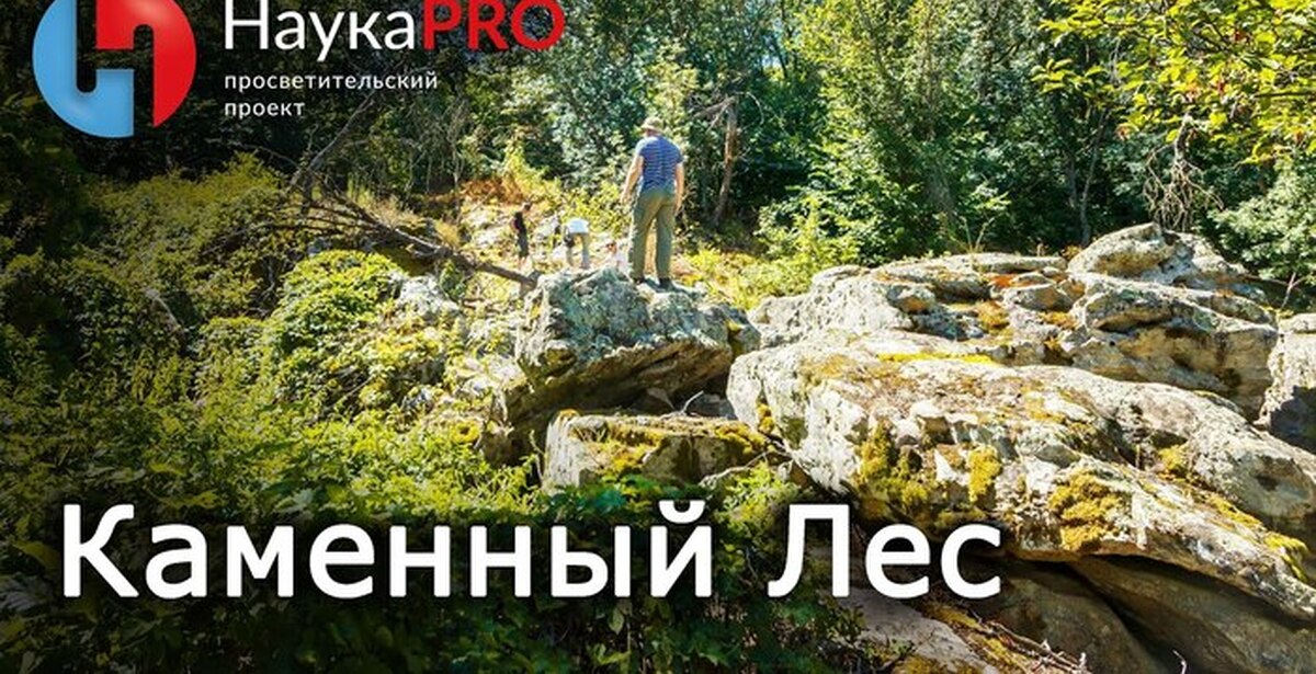 Алексеевский лес таганрог
