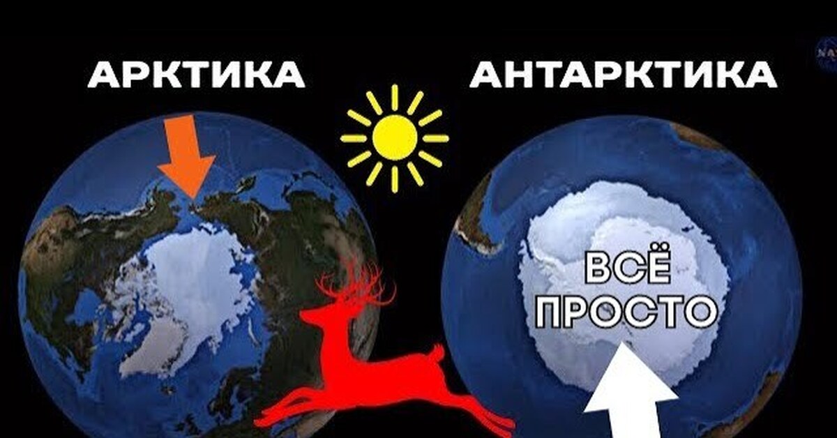 Арктика и антарктида отличия. Арктика и Антарктика разница. Арктика и Антарктида в чем разница. Различия Арктики и Антарктики. Арктика и Антарктида на глобусе.