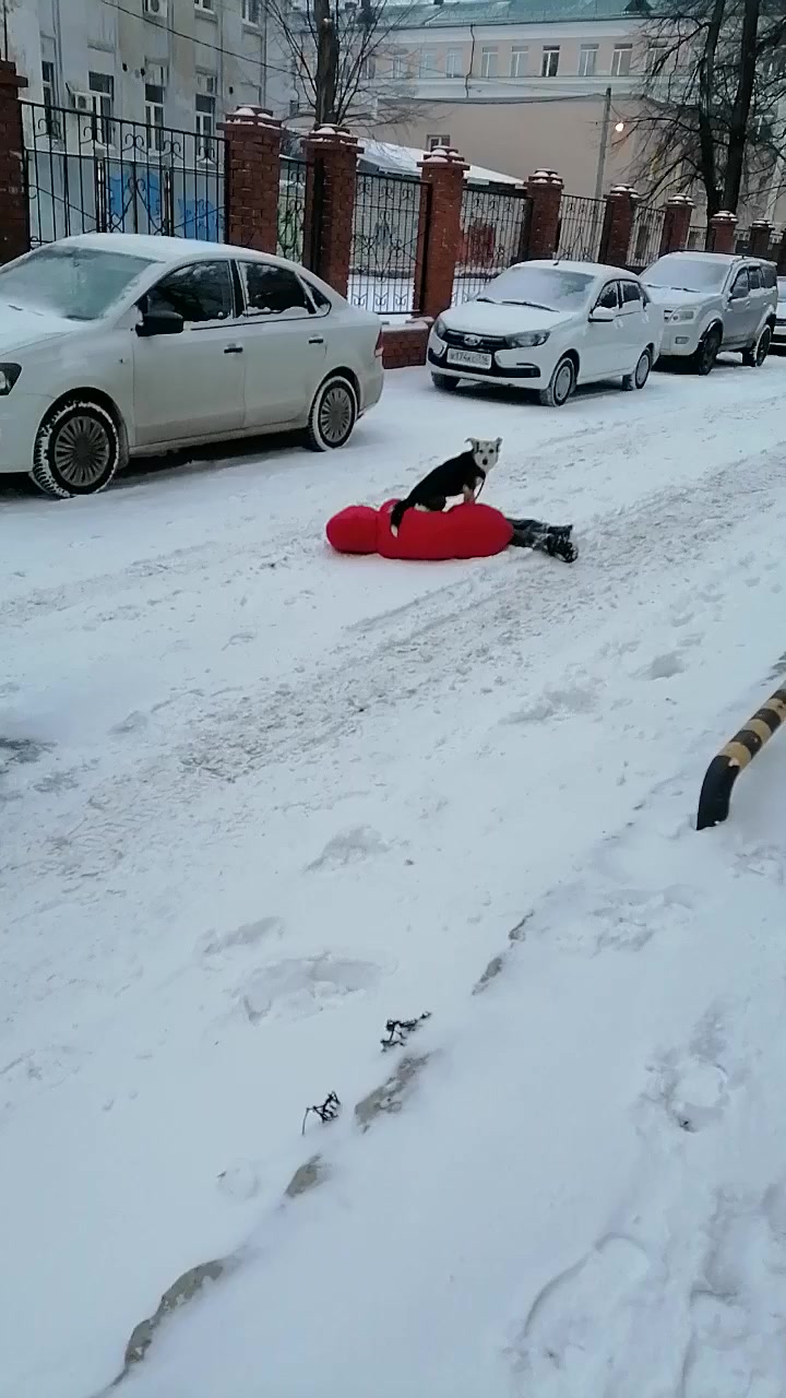 Случай сегодня утром