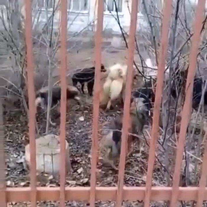 ������������