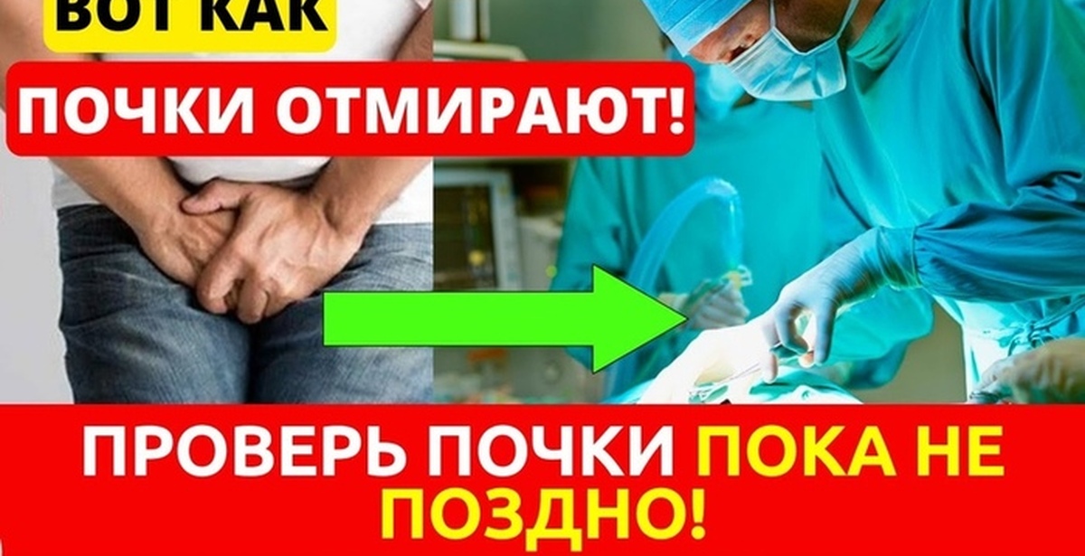Проблема с почками врач