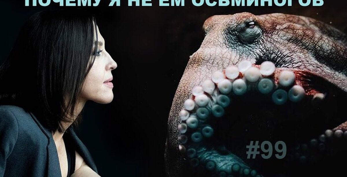 Мозг с глазами | Пикабу