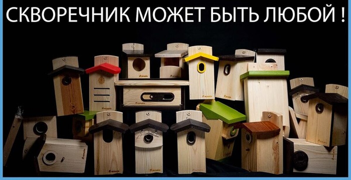 Как мы делаем скворечники и другие гнездовья для птиц | Пикабу