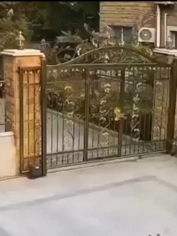 Как выглядит смена гражданства⁠⁠