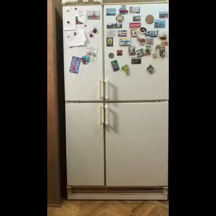 Феноменально наглый кот⁠⁠