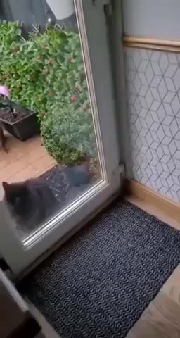 Открывай, я друзей привёл⁠⁠