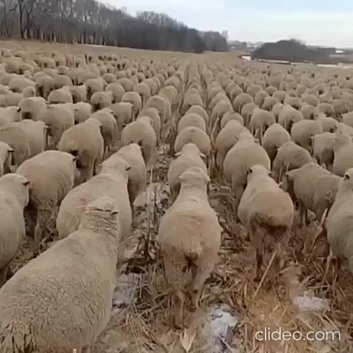 ������������