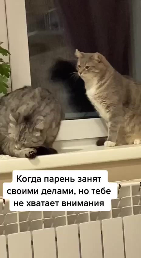 Девочки такие девочки⁠⁠