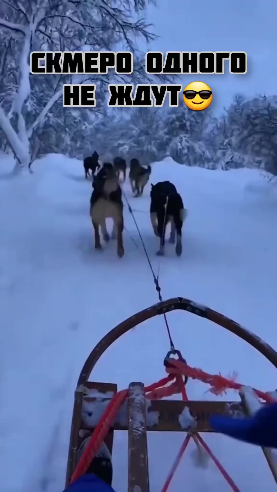 Семеро одного не ждут⁠⁠