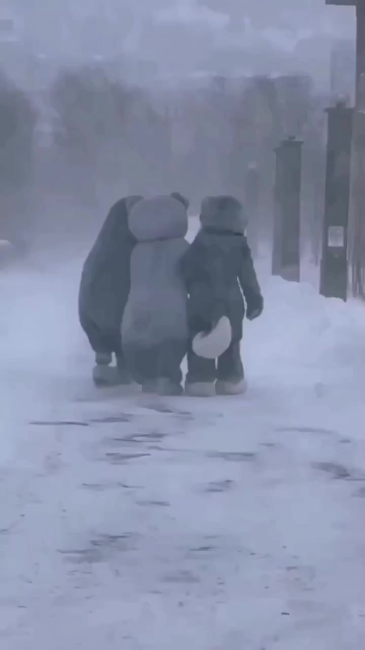 Друг в беде не бросит, лишнего не спросит. Настоящий друг⁠⁠