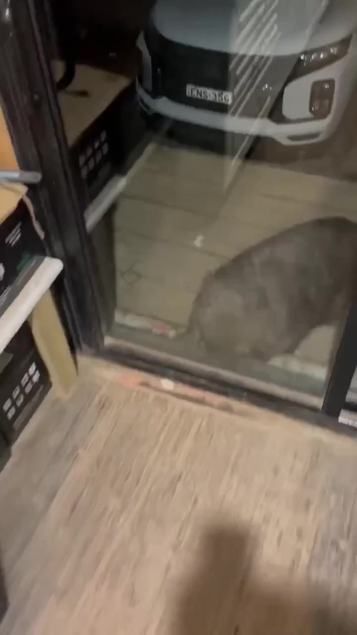 Тихая бухта)⁠⁠