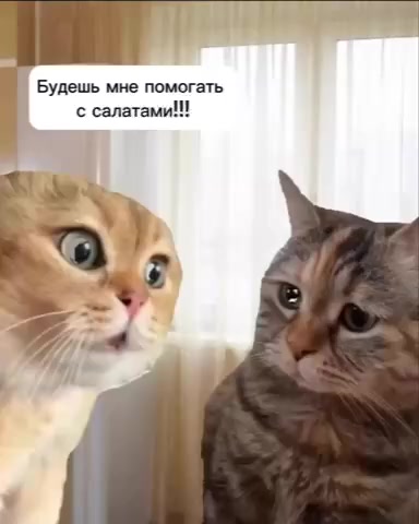 Салатное⁠⁠
