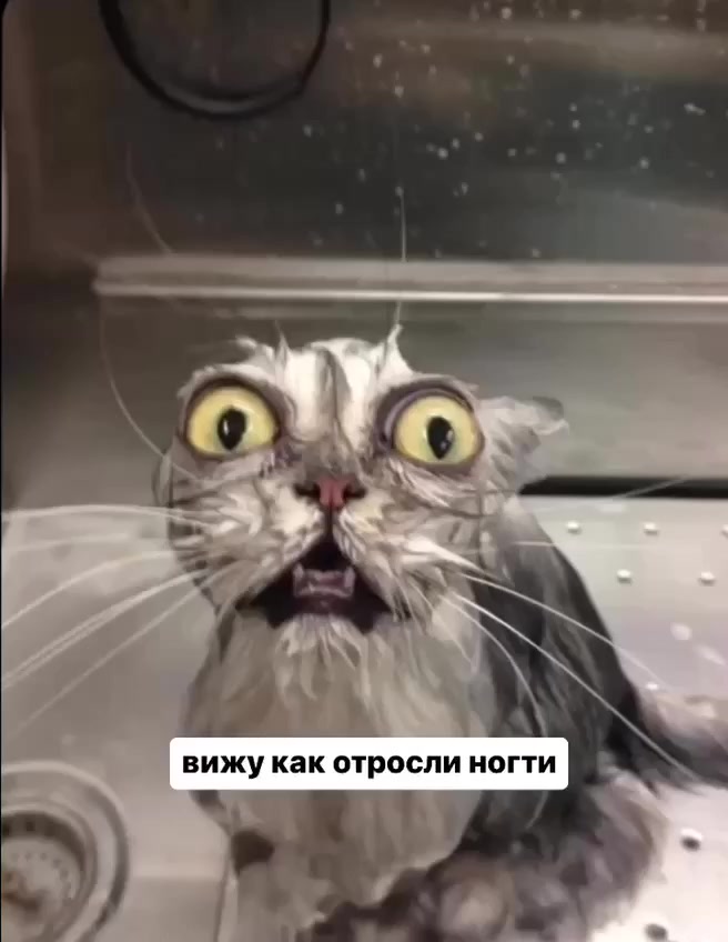 Случайно не о тебе история⁠⁠