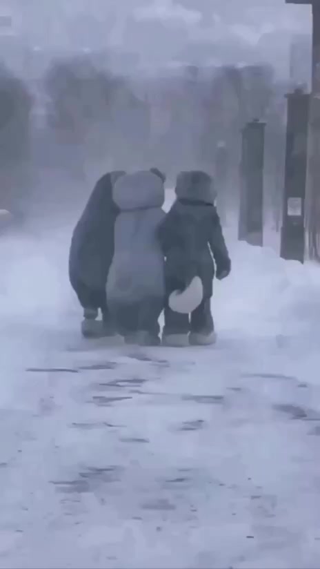 Когда начался сезон новогодних корпоративов⁠⁠