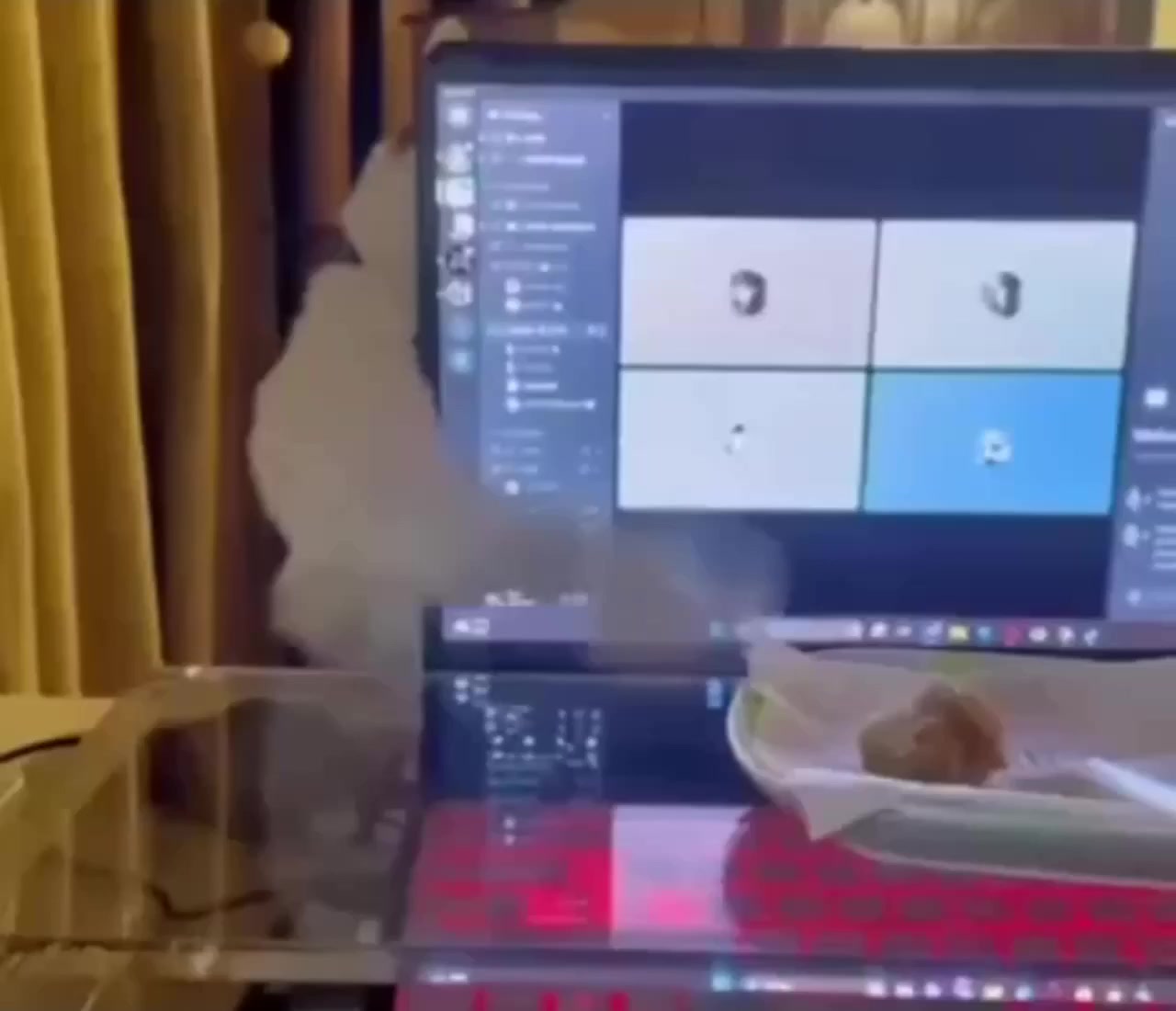 Кошачья философия