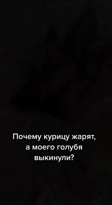 Мысли собаки