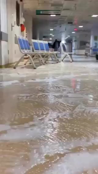 Кот на намыленном полу