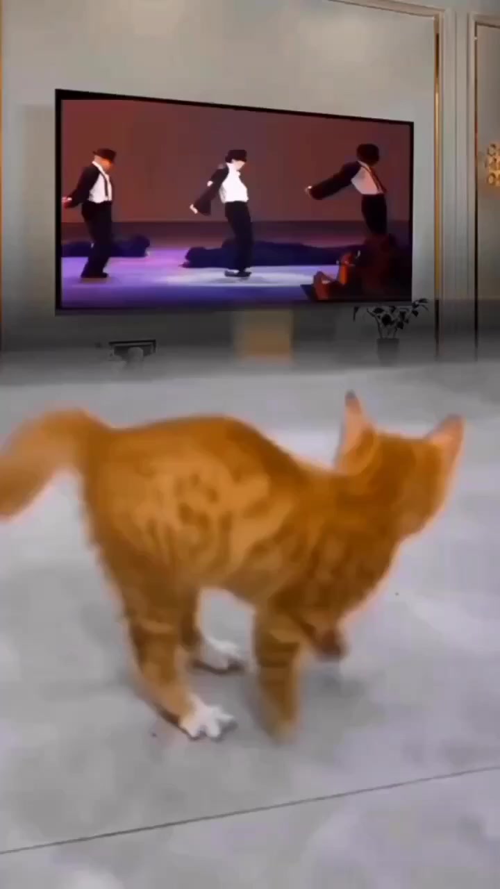 Маленький Майкл Джексон
